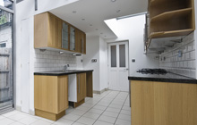 Hyssington kitchen extension leads